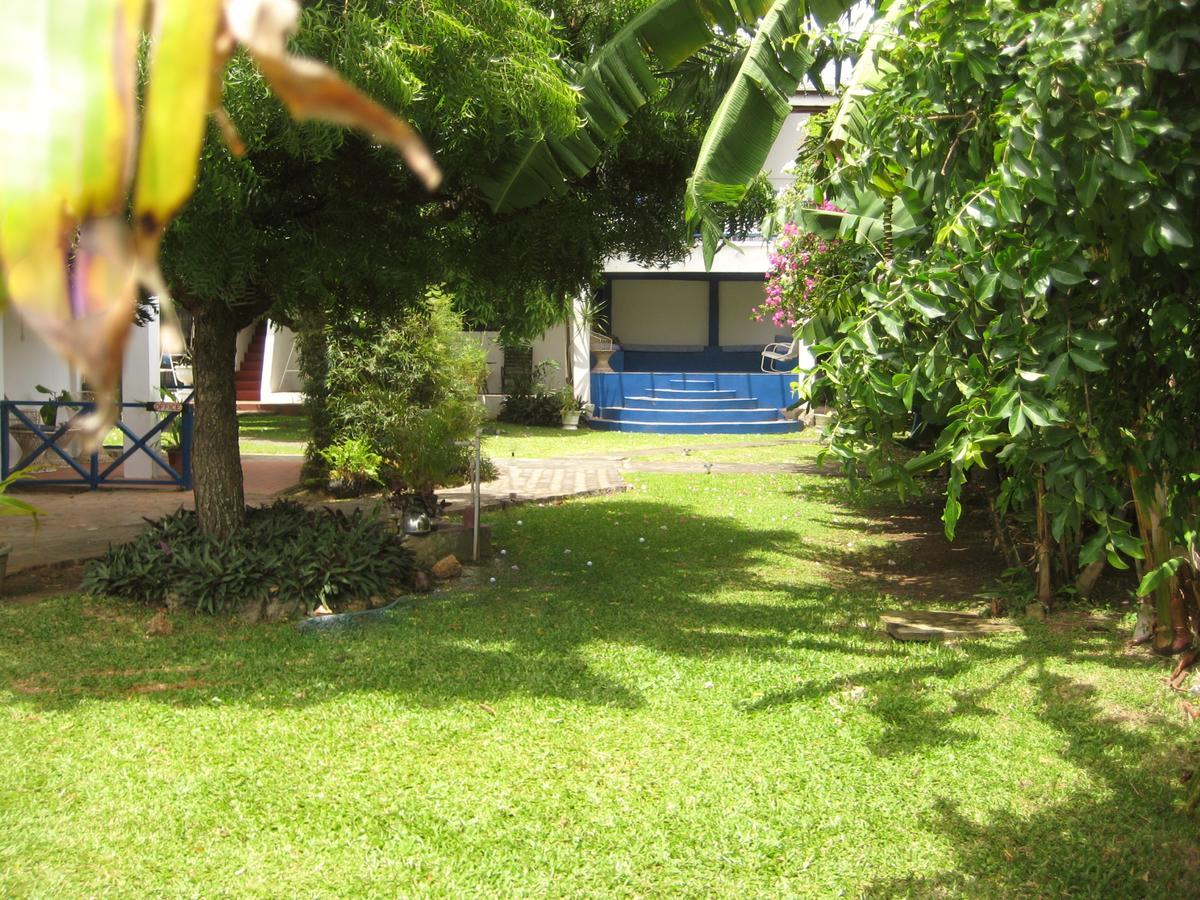 Bananaquit Near The Beach! Crown Point Buitenkant foto